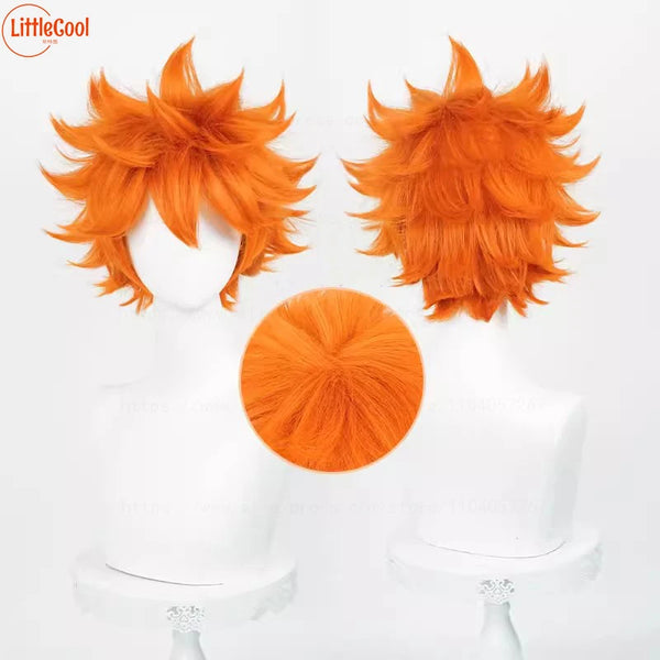 Hinata Shoyo Cosplay Wig Shoyo Hinata 30cm Short Orange Heat  Cosplay Wigs